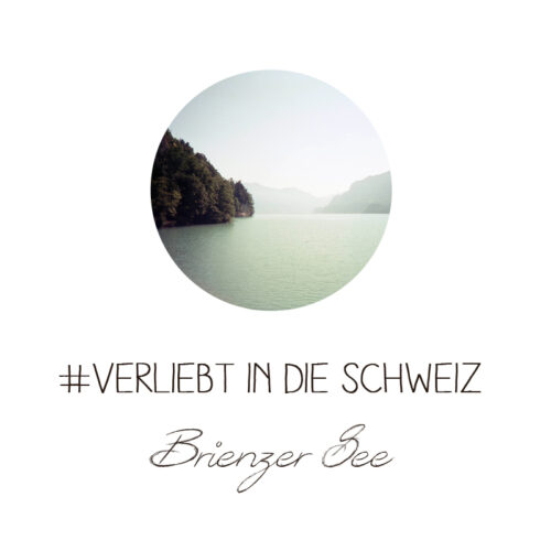 Schweiz Ballenberg Brienzer See Harder Kulm analog Lomoherz