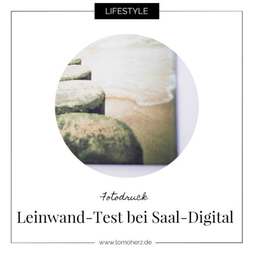 Leinwand Saal Digital
